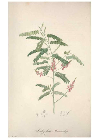 Reproducción/Reproduction 49499374626: Jardin de la Malmaison. A Paris :De l'imprimerie de Crapelet, et se trouve chez l'auteur ...,1803-1804.. 