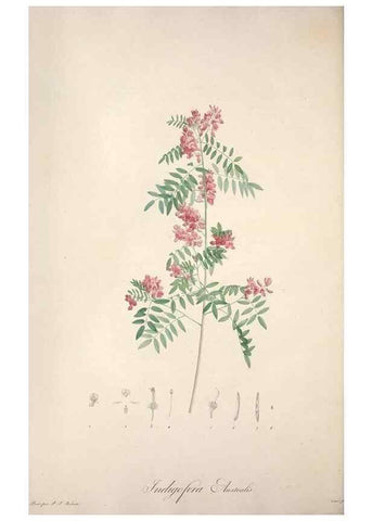 Reproducción/Reproduction 49498875523: Jardin de la Malmaison. A Paris :De l'imprimerie de Crapelet, et se trouve chez l'auteur ...,1803-1804.. 
