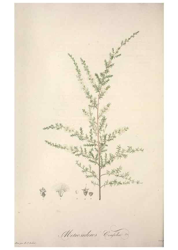 Reproducción/Reproduction 49499599842: Jardin de la Malmaison. A Paris :De l'imprimerie de Crapelet, et se trouve chez l'auteur ...,1803-1804.. 