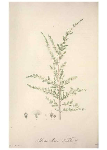 Reproducción/Reproduction 49499599842: Jardin de la Malmaison. A Paris :De l'imprimerie de Crapelet, et se trouve chez l'auteur ...,1803-1804.. 