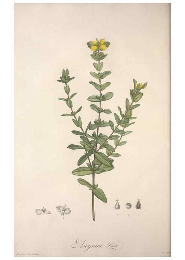 Reproducción/Reproduction 49498967678: Jardin de la Malmaison. A Paris :De l'imprimerie de Crapelet, et se trouve chez l'auteur ...,1803-1804.. 