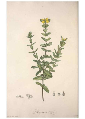 Reproducción/Reproduction 49498967678: Jardin de la Malmaison. A Paris :De l'imprimerie de Crapelet, et se trouve chez l'auteur ...,1803-1804.. 