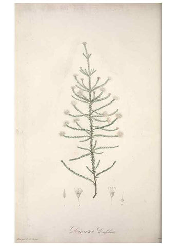 Reproducción/Reproduction 49499690842: Jardin de la Malmaison. A Paris :De l'imprimerie de Crapelet, et se trouve chez l'auteur ...,1803-1804.. 