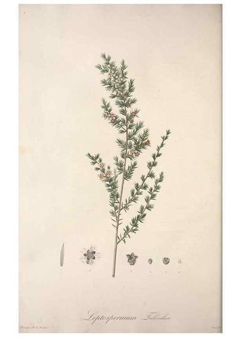 Reproducción/Reproduction 49498967333: Jardin de la Malmaison. A Paris :De l'imprimerie de Crapelet, et se trouve chez l'auteur ...,1803-1804.. 