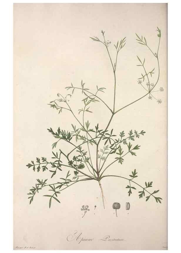 Reproducción/Reproduction 49498965643: Jardin de la Malmaison. A Paris :De l'imprimerie de Crapelet, et se trouve chez l'auteur ...,1803-1804.. 