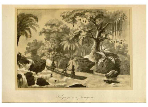 Reproducción/Reproduction 49491851768: Flore des serres et des jardins de l'Europe. A Gand :chez Louis van Houtte, eÌditeur,1845-1880.. 