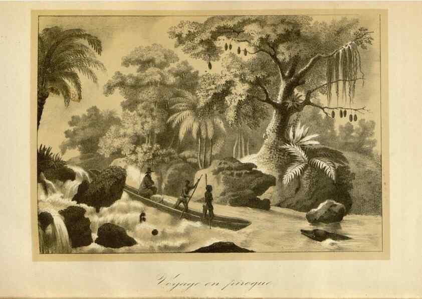 Reproducción/Reproduction 49491851768: Flore des serres et des jardins de l'Europe. A Gand :chez Louis van Houtte, eÌditeur,1845-1880.. 