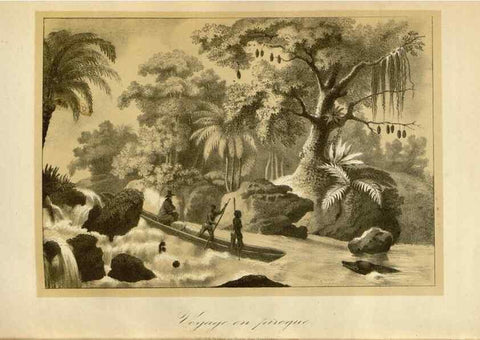 Reproducción/Reproduction 49491851768: Flore des serres et des jardins de l'Europe. A Gand :chez Louis van Houtte, eÌditeur,1845-1880.. 