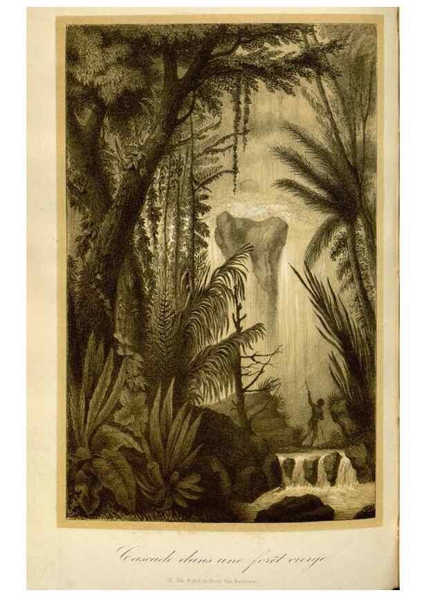 Reproducción/Reproduction 49492557912: Flore des serres et des jardins de l'Europe. A Gand :chez Louis van Houtte, eÌditeur,1845-1880.. 