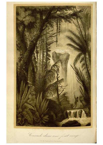 Reproducción/Reproduction 49492557912: Flore des serres et des jardins de l'Europe. A Gand :chez Louis van Houtte, eÌditeur,1845-1880.. 