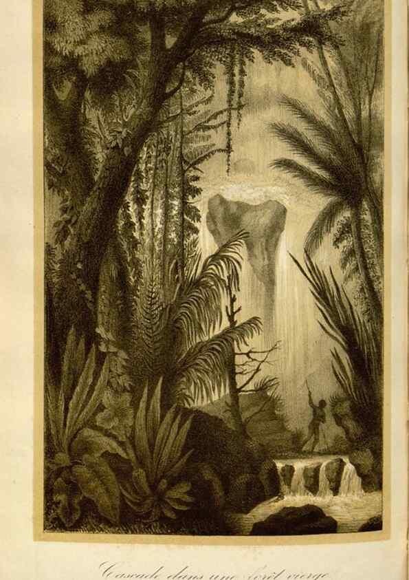 Reproducción/Reproduction 49492557912: Flore des serres et des jardins de l'Europe. A Gand :chez Louis van Houtte, eÌditeur,1845-1880.. 
