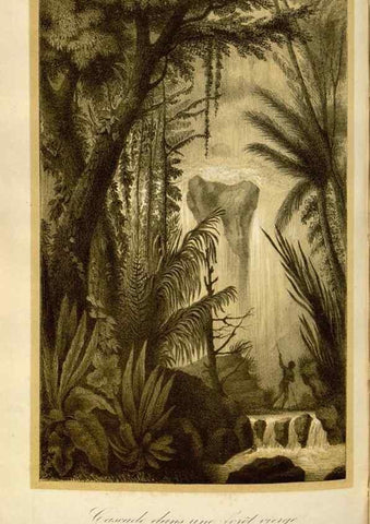 Reproducción/Reproduction 49492557912: Flore des serres et des jardins de l'Europe. A Gand :chez Louis van Houtte, eÌditeur,1845-1880.. 