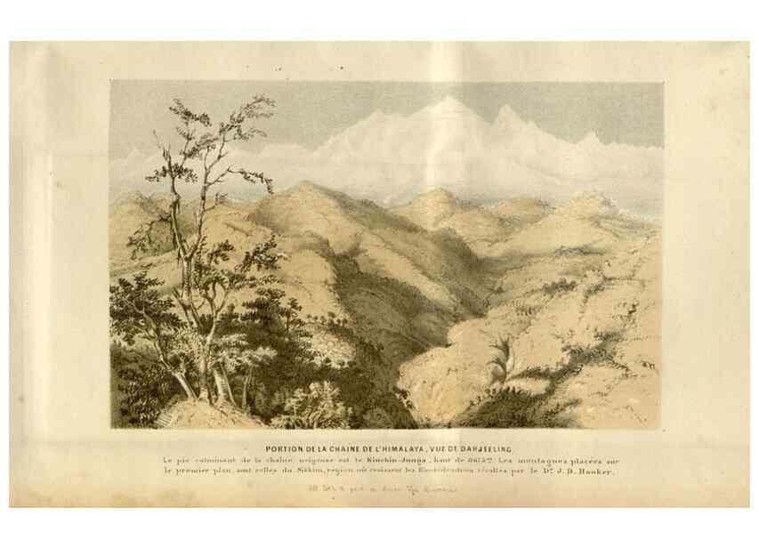 Reproducción/Reproduction 49492867772: Flore des serres et des jardins de l'Europe. A Gand :chez Louis van Houtte, eÌditeur,1845-1880.. 