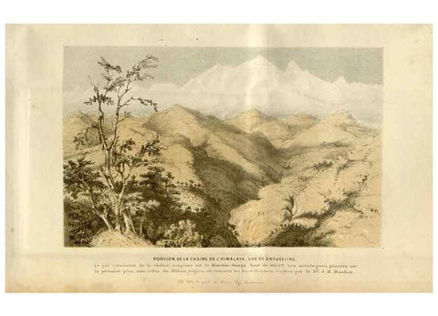 Reproducción/Reproduction 49492867772: Flore des serres et des jardins de l'Europe. A Gand :chez Louis van Houtte, eÌditeur,1845-1880.. 