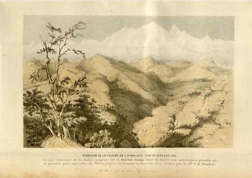 Reproducción/Reproduction 49492867772: Flore des serres et des jardins de l'Europe. A Gand :chez Louis van Houtte, eÌditeur,1845-1880.. 