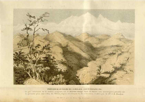 Reproducción/Reproduction 49492867772: Flore des serres et des jardins de l'Europe. A Gand :chez Louis van Houtte, eÌditeur,1845-1880.. 