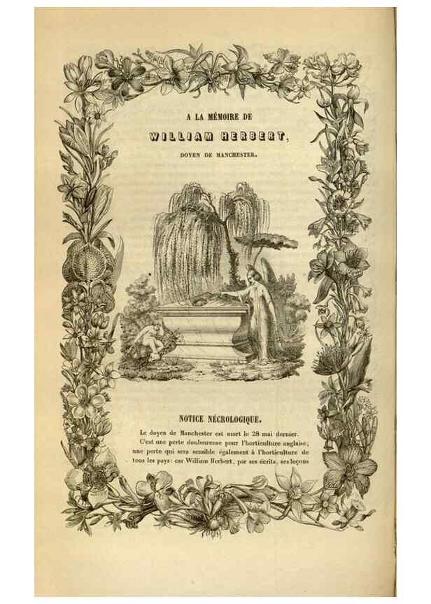Reproducción/Reproduction 49492550227: Flore des serres et des jardins de l'Europe. A Gand :chez Louis van Houtte, eÌditeur,1845-1880.. 