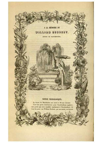 Reproducción/Reproduction 49492550227: Flore des serres et des jardins de l'Europe. A Gand :chez Louis van Houtte, eÌditeur,1845-1880.. 