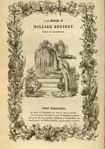 Reproducción/Reproduction 49492550227: Flore des serres et des jardins de l'Europe. A Gand :chez Louis van Houtte, eÌditeur,1845-1880.. 