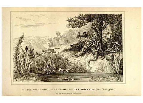 Reproducción/Reproduction 49492882367: Flore des serres et des jardins de l'Europe. A Gand :chez Louis van Houtte, eÌditeur,1845-1880.. 