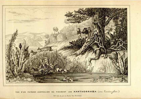 Reproducción/Reproduction 49492882367: Flore des serres et des jardins de l'Europe. A Gand :chez Louis van Houtte, eÌditeur,1845-1880.. 