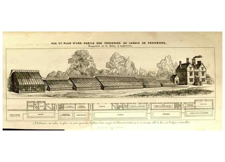 Reproducción/Reproduction 49492672231: Flore des serres et des jardins de l'Europe. A Gand :chez Louis van Houtte, eÌditeur,1845-1880.. 