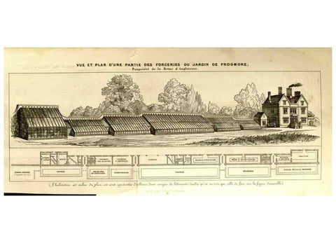 Reproducción/Reproduction 49492672231: Flore des serres et des jardins de l'Europe. A Gand :chez Louis van Houtte, eÌditeur,1845-1880.. 