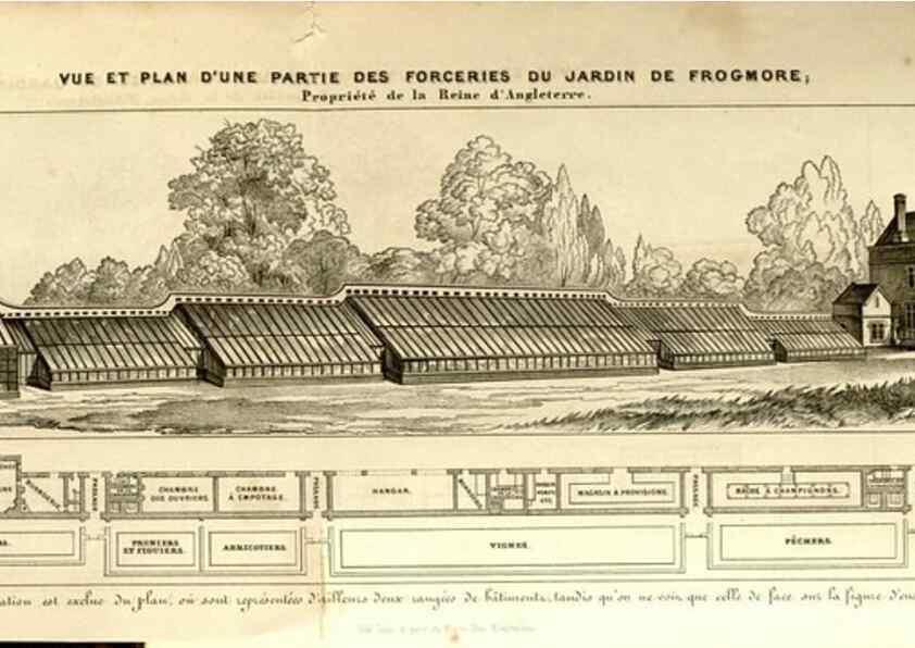 Reproducción/Reproduction 49492672231: Flore des serres et des jardins de l'Europe. A Gand :chez Louis van Houtte, eÌditeur,1845-1880.. 