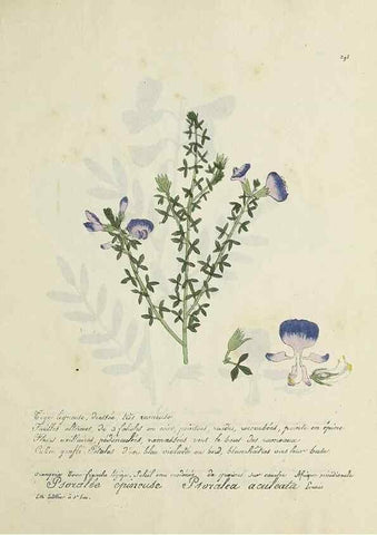 Reproducción/Reproduction 49501412616: Flore universelle. Saint-Denis :Au Bureau et chez Meilhac :[1848]-[1849]. 