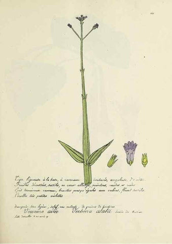 Reproducción/Reproduction 49501564227: Flore universelle. Saint-Denis :Au Bureau et chez Meilhac :[1848]-[1849]. 