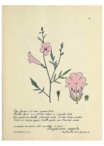 Reproducción/Reproduction 49500814228: Flore universelle. Saint-Denis :Au Bureau et chez Meilhac :[1848]-[1849]. 