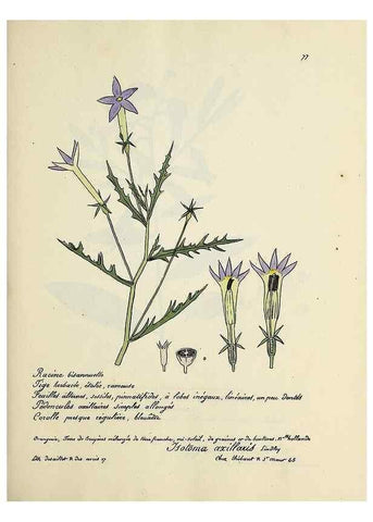 Reproducción/Reproduction 49501317246: Flore universelle. Saint-Denis :Au Bureau et chez Meilhac :[1848]-[1849]. 