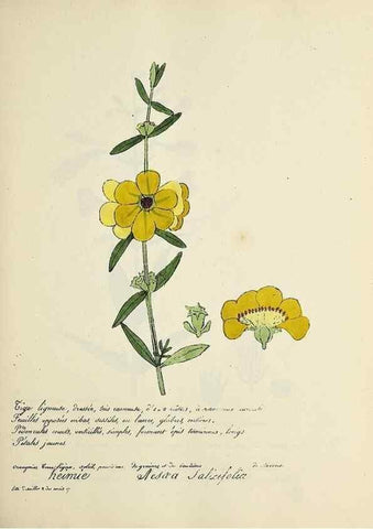 Reproducción/Reproduction 49501330816: Flore universelle. Saint-Denis :Au Bureau et chez Meilhac :[1848]-[1849]. 