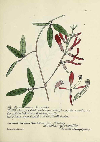 Reproducción/Reproduction 49501549462: Flore universelle. Saint-Denis :Au Bureau et chez Meilhac :[1848]-[1849]. 