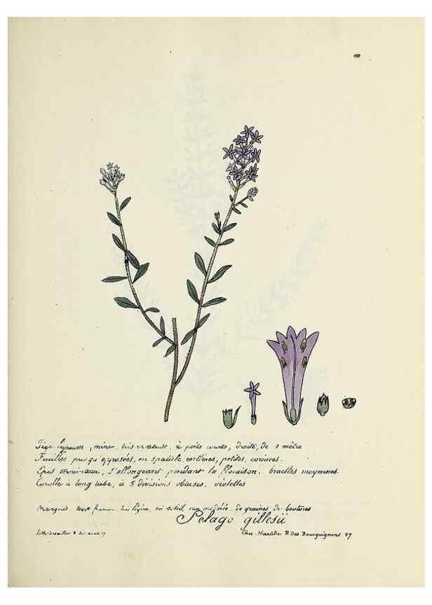 Reproducción/Reproduction 49500822438: Flore universelle. Saint-Denis :Au Bureau et chez Meilhac :[1848]-[1849]. 