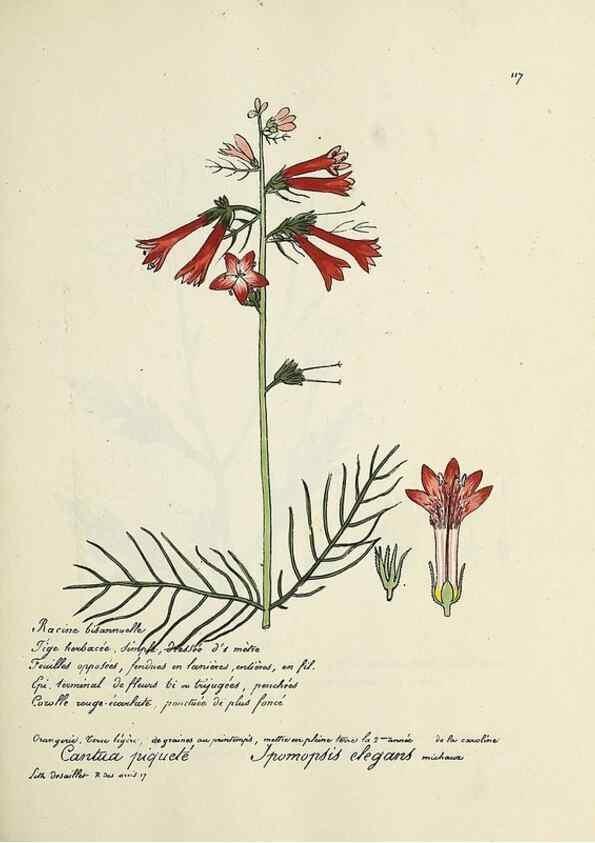 Reproducción/Reproduction 49501552172: Flore universelle. Saint-Denis :Au Bureau et chez Meilhac :[1848]-[1849]. 