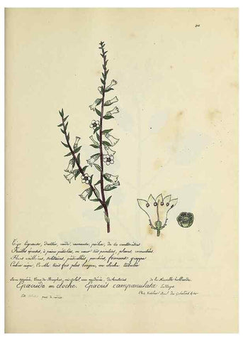 Reproducción/Reproduction 49501610267: Flore universelle. Saint-Denis :Au Bureau et chez Meilhac :[1848]-[1849]. 