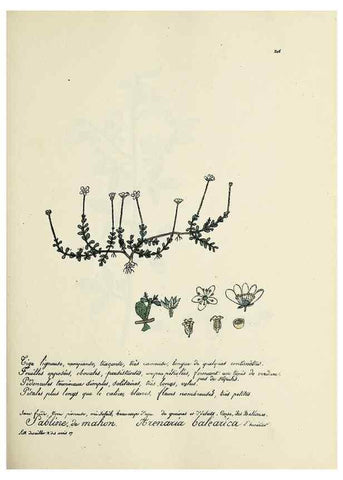 Reproducción/Reproduction 49501589357: Flore universelle. Saint-Denis :Au Bureau et chez Meilhac :[1848]-[1849]. 