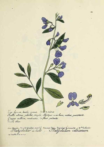 Reproducción/Reproduction 49500855018: Flore universelle. Saint-Denis :Au Bureau et chez Meilhac :[1848]-[1849]. 