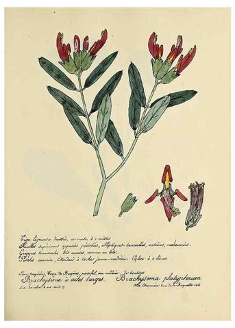 Reproducción/Reproduction 49501369576: Flore universelle. Saint-Denis :Au Bureau et chez Meilhac :[1848]-[1849]. 