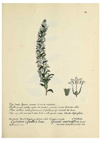 Reproducción/Reproduction 49501594397: Flore universelle. Saint-Denis :Au Bureau et chez Meilhac :[1848]-[1849]. 