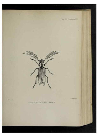 Reproducción/Reproduction 48991827468: Proceedings of the Zoological Society of London.. London :Academic Press, [etc.],1833-1965.. 