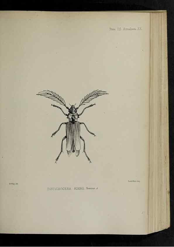 Reproducción/Reproduction 48991827468: Proceedings of the Zoological Society of London.. London :Academic Press, [etc.],1833-1965.. 