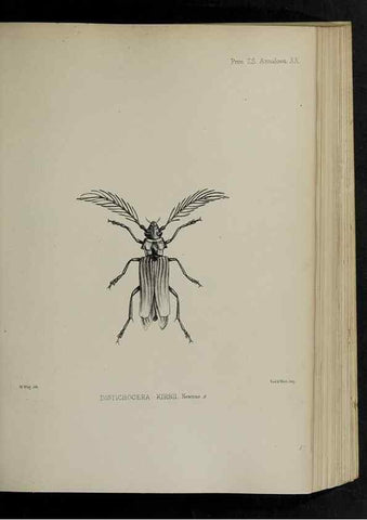 Reproducción/Reproduction 48991827468: Proceedings of the Zoological Society of London.. London :Academic Press, [etc.],1833-1965.. 