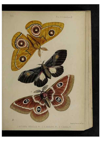 Reproducción/Reproduction 48992368706: Proceedings of the Zoological Society of London.. London :Academic Press, [etc.],1833-1965.. 