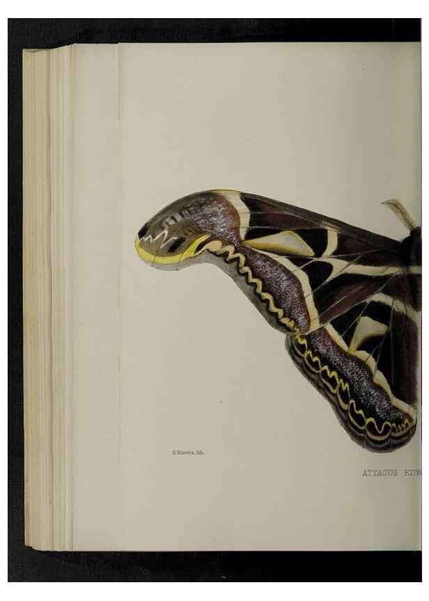 Reproducción/Reproduction 48991842453: Proceedings of the Zoological Society of London.. London :Academic Press, [etc.],1833-1965.. 