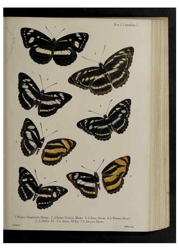 Reproducción/Reproduction 48991839433: Proceedings of the Zoological Society of London.. London :Academic Press, [etc.],1833-1965.. 