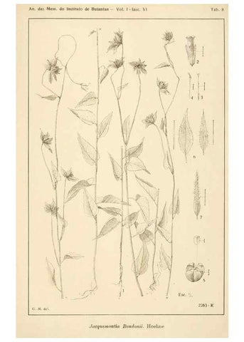 Reproducción/Reproduction 49013487567: Anexos das Memórias do Instituto de Butantan, Secção de Botânica.. S. Paulo :Comp. Melhoramentos de S. Paulo,1921-1922.. 