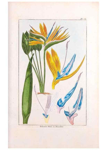 Reproducción/Reproduction 48975785861: Le grand jardin de l'univers,. Paris,Chez l'auteur,1785-1791.. 