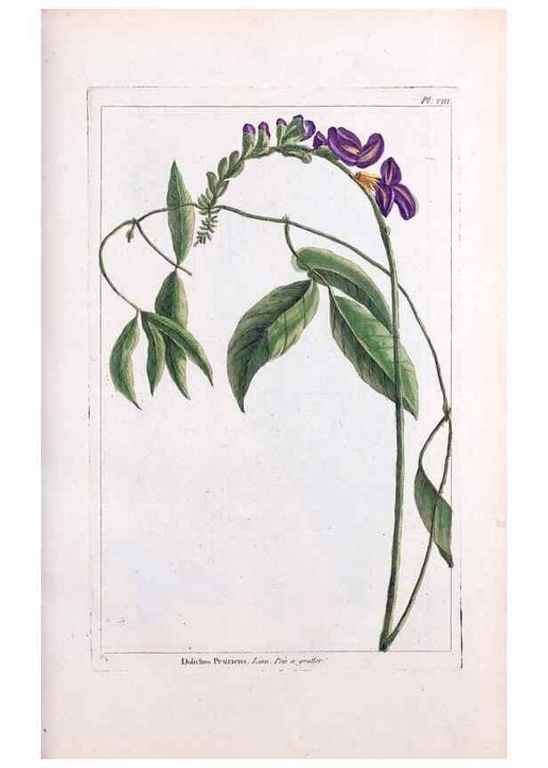 Reproducción/Reproduction 48975967372: Le grand jardin de l'univers,. Paris,Chez l'auteur,1785-1791.. 